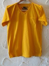 CAT'S PAW/S/S V NECK T  GOLD