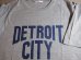 画像3: ☆SALE 50%OFF☆ AFI/DETROIT CITY PRINT 3/4 T LIGHT  GRAY (3)