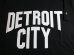 画像3: ☆SALE 50%OFF☆ AFI/DETROIT CITY PRINT T LIGHT  BLACK (3)