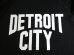 画像3: ☆SALE 50%OFF☆ AFI/DETROIT CITY PRINT 3/4 T BLACK (3)