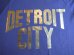 画像3: ☆SALE 50%OFF☆ AFI/DETROIT CITY PRINT 3/4 T PURPLE (3)