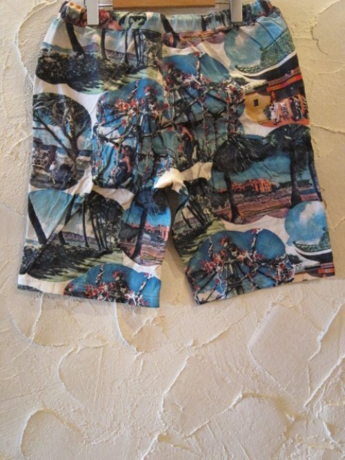 他の写真1: SUN SURF/COLOR PICTURE PRINT S/S PT  BLUE