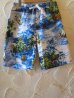 画像1: COREFIGHTER/KAMEHAME SHORTS  BLUE (1)