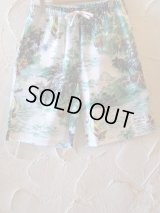 COREFIGHTER/KAMEHAME SHORTS  GREEN