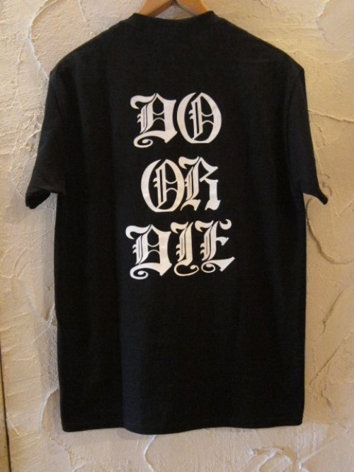 他の写真1: SUNNY C SIDER/BRONZE AGE DIE T  BLACK