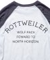 画像7: ROTTWEILER/USED RAGLAN 3/4 T  WHITExGREY