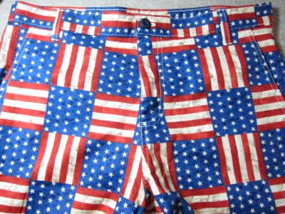 画像3: (SALE 35%OFF) SUNNY C SIDER/FLAG SHORTS  BLKLOGO