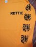 画像3: ROTTWEILER/TIGER LS T  YELLOW (3)