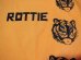 画像4: ROTTWEILER/TIGER LS T  YELLOW (4)