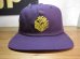 画像1: BONES AND BOLTS/CAP BOX LOGO  PURPLE (1)