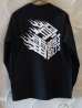 画像1: BONES AND BOLTS/LST FLAMES BOX LOGO  BLACK (1)