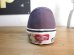 画像3: VANS/AUTHENTIC SF  PLUM (3)