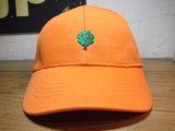 BELIVE/LOW CAP WAPPEN  APPLE  ORANGE