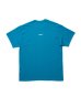 画像2: (SALE 35%OFF) ROTTWEILER/HIBISCUS T  BLUE (2)