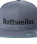 画像4: ROTTWEILER/ROTTWEILER SNAPBACK  GRAY (4)