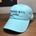 画像1: 68&BROTHERS/6PANEL TWILL CAP THE NYC&CO  AQUA (1)