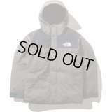 THE NORTH FACE/MOUNTAIN DOWN JKT  NTニュートープ