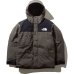 画像1: THE NORTH FACE/MOUNTAIN DOWN JKT  NTニュートープ (1)