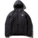 画像1: (再入荷）THE NORTH FACE/ASTRO LIGHT HOODIE　BLACK (1)