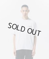 ROTTWEILER/LINE LOGO T  GRAY