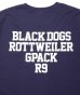 画像5: ROTTWEILER/RW TEE  NAVY (5)