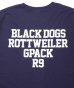 画像5: ROTTWEILER/RW TEE  NAVY (5)