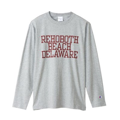 画像1: CHAMPION/PRINT LONG SLEEVE T DELAWARE  OX.GRAY