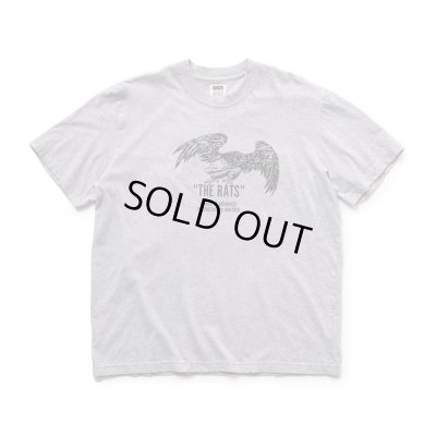 画像1: RATS/EAGLE THE RATS T  GRAY