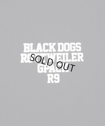 画像3: ROTTWEILER/COLLEGE RW LS T  BLACK