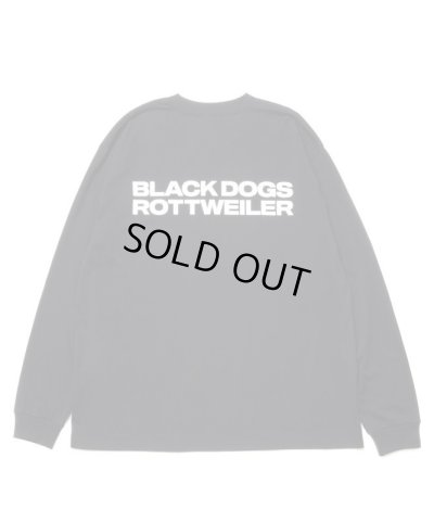 画像1: ROTTWEILER/2LINE LS T  BLACK