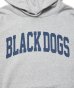 画像3: ROTTWEILER/B.D SWEAT PARKA  GRAY (3)