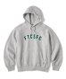 画像1: FTC/CHENILLE ARC LOGO PULLOVER HOODY  GRAY (1)