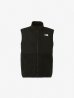画像1: (再入荷)  THE NORTH FACE/DENAL VEST　BLACK (1)
