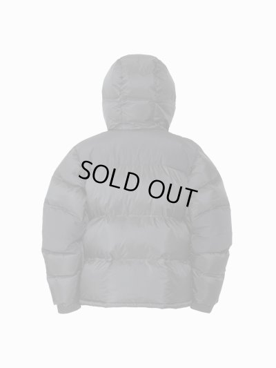 画像2: THE NORTH FACE/WS NUPTSE HOODIE BLACK