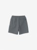 画像2: THE NORTH FACE/MOUNTAIN COLOR SHORT  H.GRAY (2)