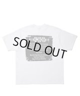 ROTTWEILER/GRAFFITI T  WHITE