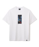 FTC/SUMMER NIGHTS  WHITE