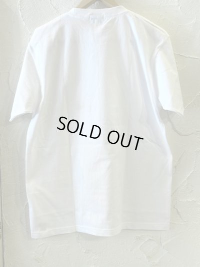 画像2:  ACOUSTIC/LEFT FEATHER  WHITE