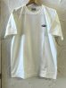 画像1:  ACOUSTIC/OVAL PATCH  IVORY (1)