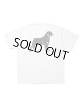 ROTTWEILER/B.D.C T  WHITE