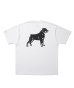 画像1: ROTTWEILER/B.D.C T  WHITE (1)