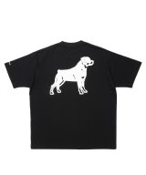 ROTTWEILER/B.D.C T  BLACK