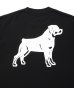 画像3: ROTTWEILER/B.D.C T  BLACK (3)