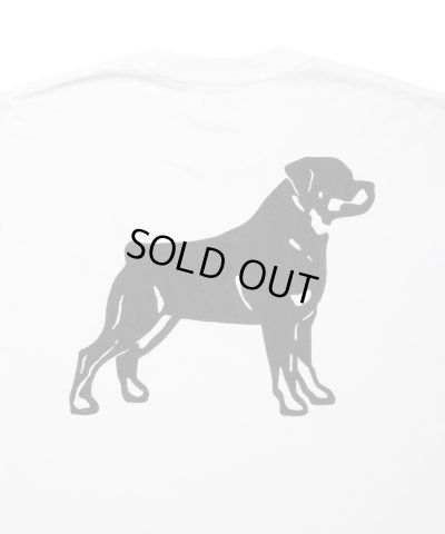 画像3: ROTTWEILER/B.D.C T  WHITE