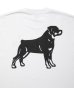 画像3: ROTTWEILER/B.D.C T  WHITE (3)