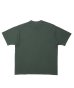 画像2: ROTTWEILER/RTTW PIGMENT T  GREEN (2)