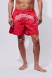 画像3: SOFTMACHINE/GUERERRO TRAINING SHORTS  BLACK (3)
