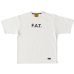 画像1: FAT/SIGNA T  WHITE (1)