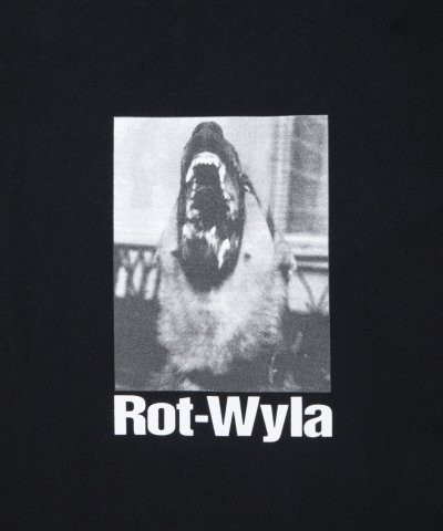 画像5: ROTTWEILER/DOG PHOTO LS T  BLACK