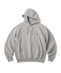 FTC/BOX LOGO PULLOVER HOODY  GRAY